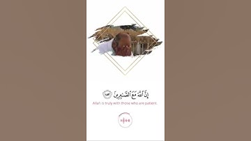 #تلاوة #تلاوات_خاشعة #تلاوات #قرآن #قران_كريم #قرآء #ماهر_المعيقلي #ترند #اكسبلور