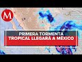 Tormenta tropical Amanda se acerca a México, pegará en el sur del país