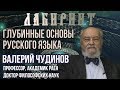 ЛАБИРИНТ | Глубинные основы Русского языка | В,А. Чудинов