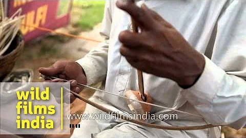 Rajasthani plays Ektara, a traditional stringed instrument of India