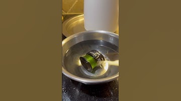 How to reset memory of a fishing line