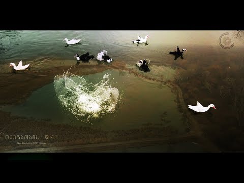 ზამთრის \"პასიური თევზი\" ლოჭინის ტბები / თევზაობის დრო • Fishing Time