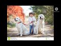 Beautiful Dogs Pic 4 Little And Cute Animals ناسلی کوتا 