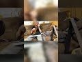 Experimental music vs. my cat