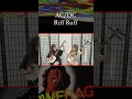 【AC/DC-Riff Raff】Rock on Shamisen?!🔥⚡️#shamisen #rock #japanese