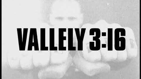 Mike Vallely: Label Kills (2001)