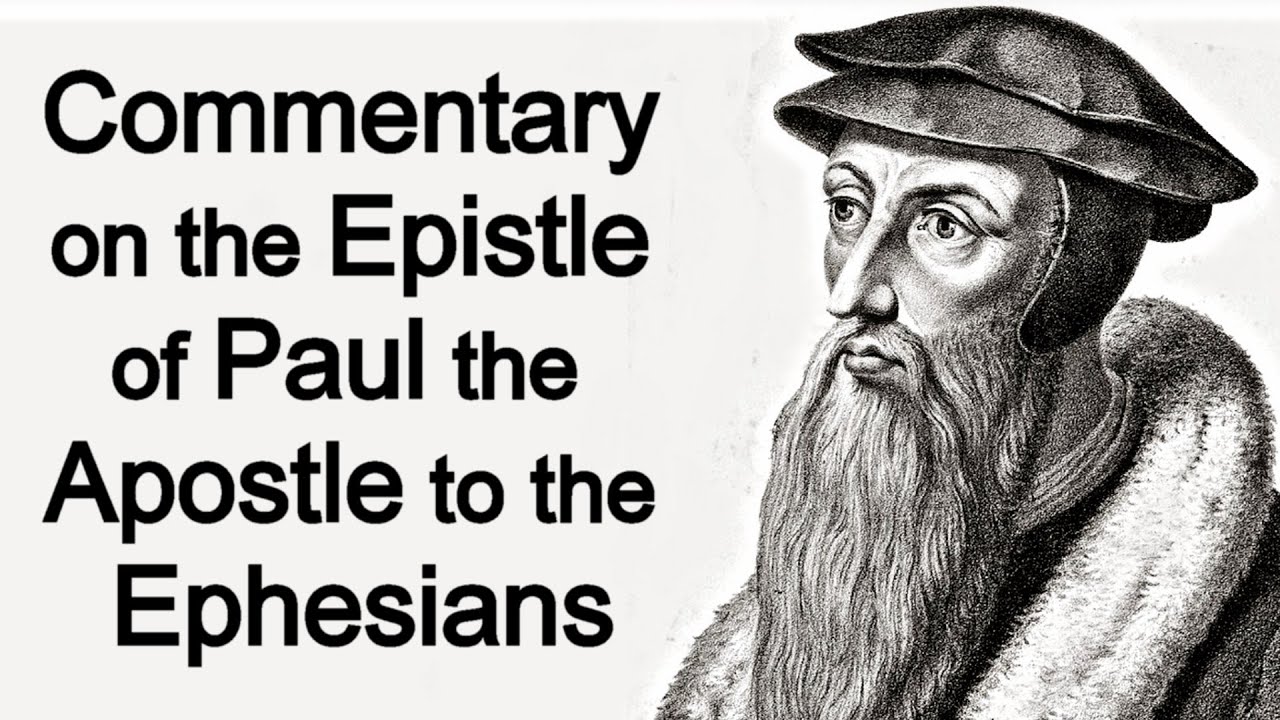 John Calvin's Commentary on the Epistle of Paul the Apostle to the
