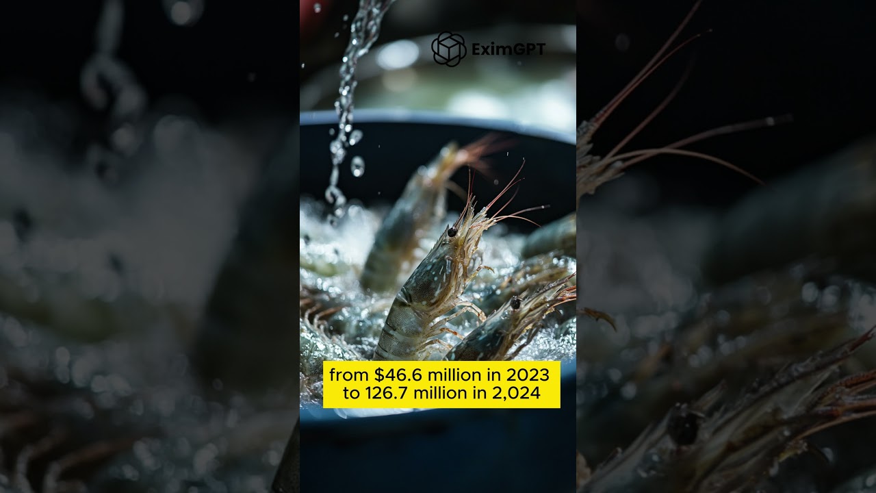 Vietnam’s Seafood Exports to China: Opportunities and Challenges 