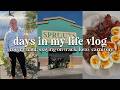 Keto/Carnivore Vlog- Eating one meal a day, staying on track, sustainable weight loss