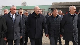 Лукашенко потребовал повысить дисциплину в сельском хозяйстве