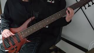 obscura  Incarnated fretless Bass Cover