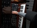 Moog session-ANCHE UN UOMO (Anselmo Genovese)