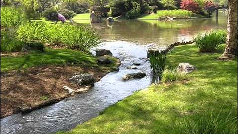 روائع التلاوات مشاري راشد العفاسي - غافر الاية 28