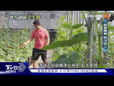 把農村變成迪士尼樂園 高學歷農夫為智慧農業鋪路｜地方創新求生路｜TVBS新聞 @TVBSNEWS02