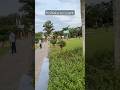 Kolkata eco park #familyvlog #trip #summertime #partytime #kolkata #trending #viralreels #picnicspot