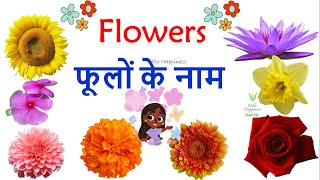 फूलों के नाम हिंदी और अंग्रेजी में जाने | Flower Names in Hindi | Flower Pictures | Flowers Names