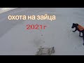 охота на зайца 2021 г великая степь #охотаназайца