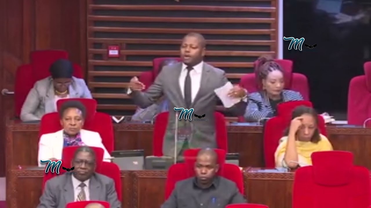 MBUNGE TIMOTHEO MNZAVA WA KOROGWE VIJIJINI AISEMEA TANGA KWA MAENDELEO YA KILIMO,ZAO LA MKONGE.