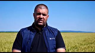 Ozime Sorte Pšenice I Ječma Za Visoke I Stabilne Prinose