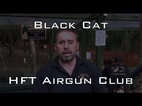 Where Is Black Cat Hft Airgun Club Where Is Black Cat Hft Airgun Club