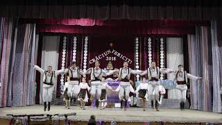 Hostropat, Ansamblul Vatra din Tohatin 2017