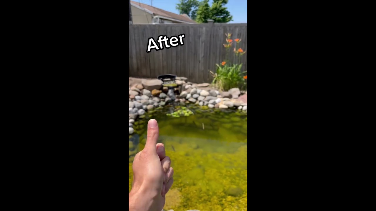 HOW DID WE DO ON THE DIY POND 
