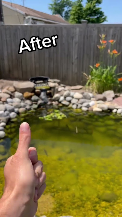 HOW DID WE DO ON THE DIY POND….?????