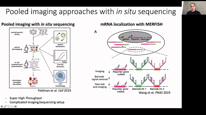 July 21, 2020 - Pooled CRISPR screens with imaging...