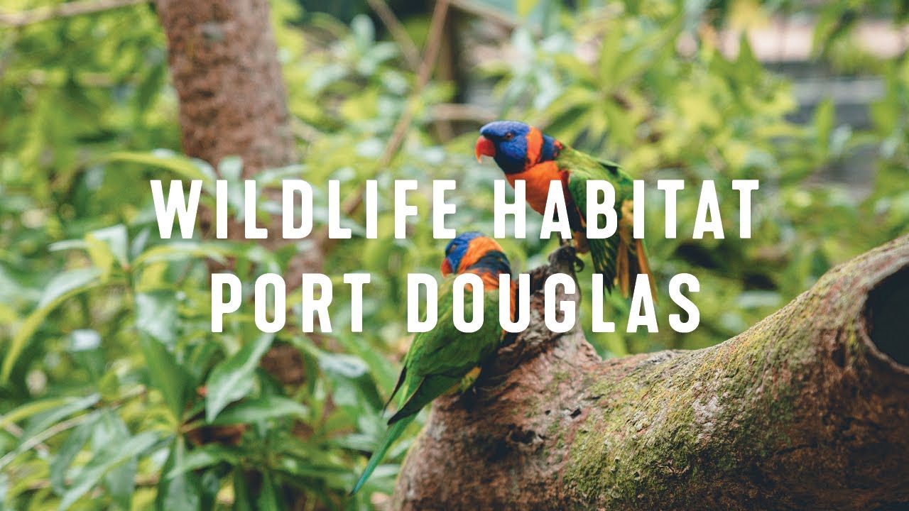 Meet Australian Wildlife at Wildlife Habitat Port Douglas