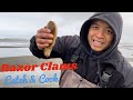 Long beach razor clam digging catch  cook