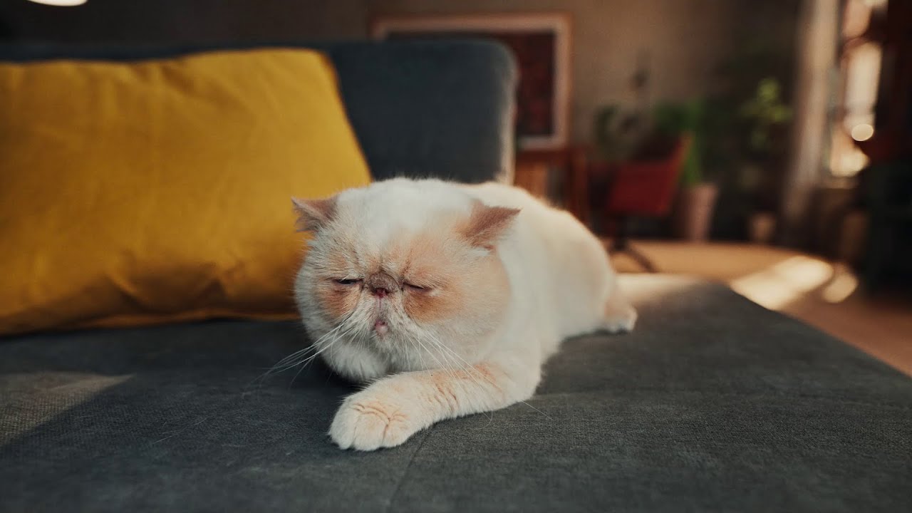 Samsung | Neo QLED 8K: Wow efekat jači nego ikada