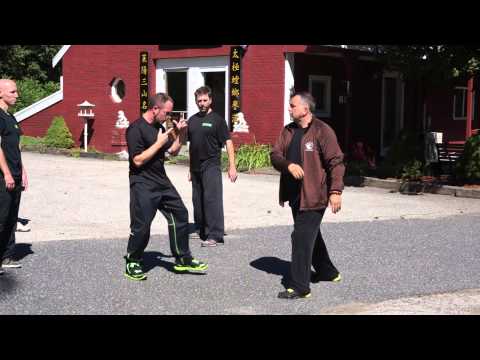 Chen Tai Chi and Application