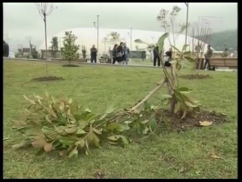ვანდალური ფაქტი „შინდისის გმირების“ სახელობის სკვერში