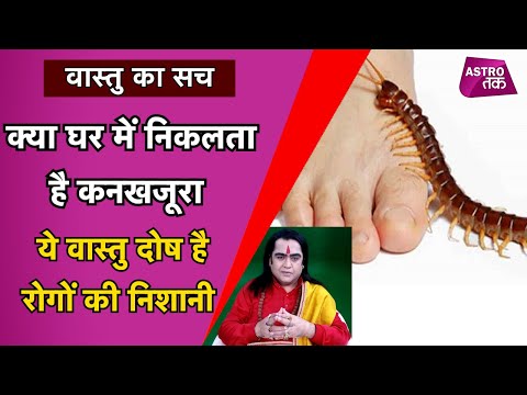 वीडियो: क्या टिड्डे में कशेरूकाएं होती हैं?