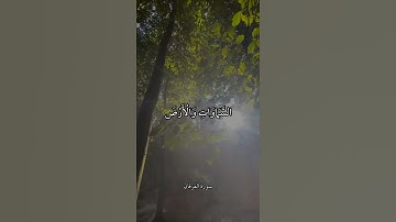 وَتَوَكَّلْ عَلَى الْحَيِّ الَّذِي لَا يَمُوتُ || سورة الفرقان || علي جابر