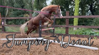 Jumping My Horse Donut For The FIRST TIME