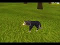 Beginning of video