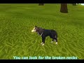 Middle of video