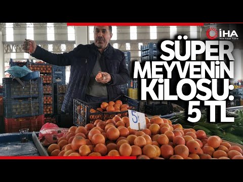 Greyfurt, Kış Mevsiminin Süper Meyvesi