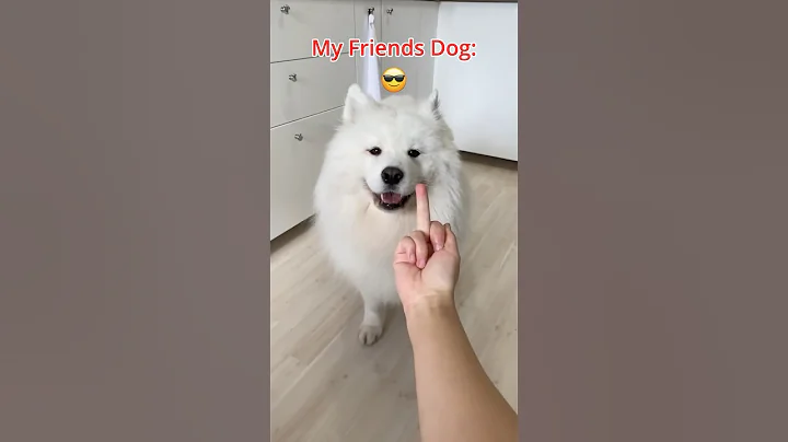 My Dog Vs. My Friends Dog 🤣🦮