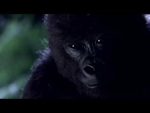 Mighty Joe Young (1998) Scene: Ruth's death/'Windsong'