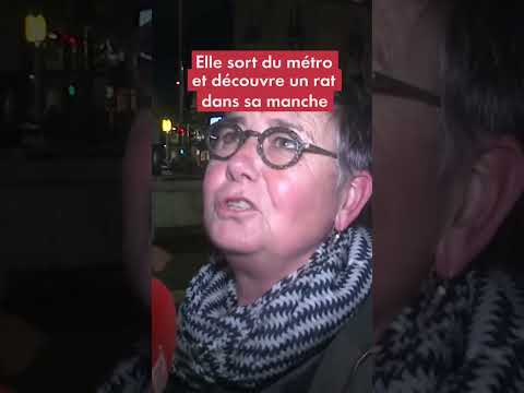 Vidéo: Rats dans le métro : photo