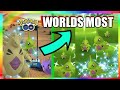 HOW TO FIND SHINY LARVITAR IN POKEMON GO!
