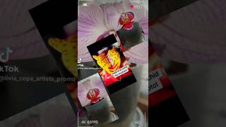 Amazing macro orchid column photo like you never seen before #macro #photography #photographer