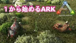 3 Ark Val 肉食恐竜ユタラプトルﾃｲﾑ 絶体絶命おもしろ超展開 Valguero Pc版公式pve Ark Survival Evolved Youtube