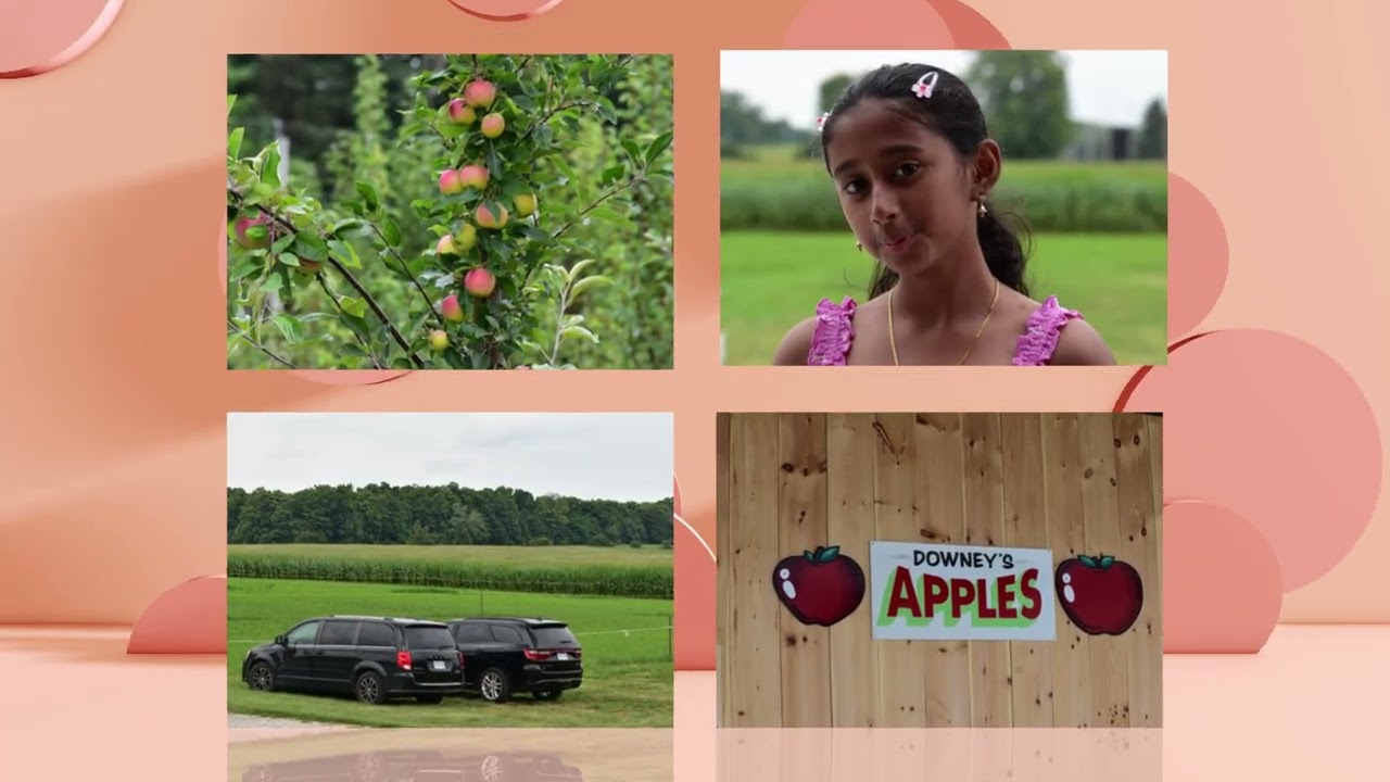 Downey's Big Apple Farm