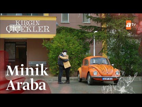 Güney'den, Songül'e çok