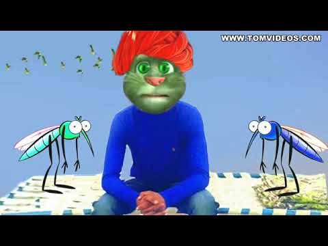 Tom Funny Videos Mere Raska Kamar