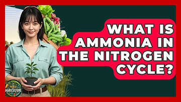 What Is Ammonia In The Nitrogen Cycle? - The World of Agriculture