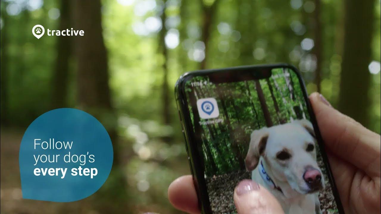 Tractive GPS Dog Tracker and Home Assistant 
